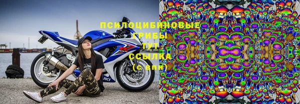 мяу мяу мука Баксан