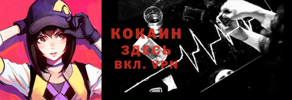 мяу мяу мука Баксан
