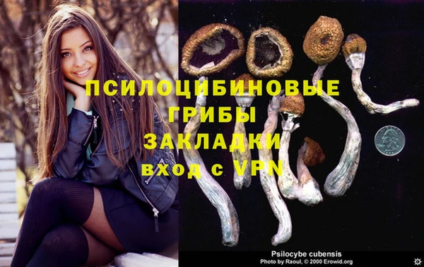 хмурый Няндома