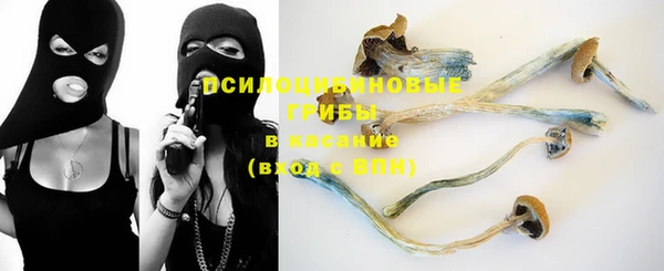 MDMA Premium VHQ Нязепетровск
