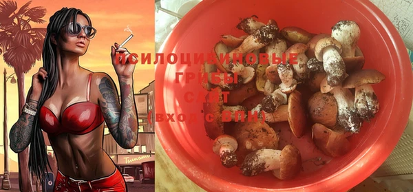 мяу мяу мука Баксан