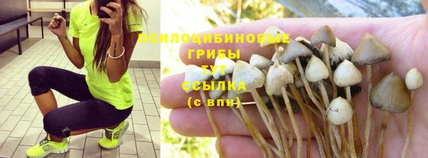 ALPHA PVP Нягань
