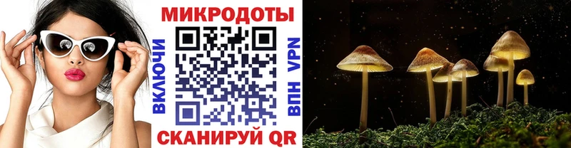 гидра рабочий сайт Рыбинск Псилоцибиновые грибы Magic Shrooms