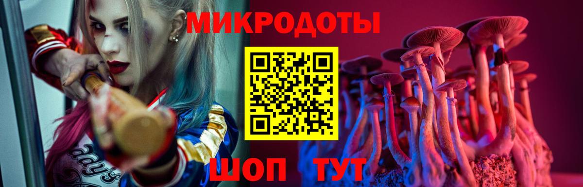Псилоцибиновые грибы Psilocybe Рыбинск
